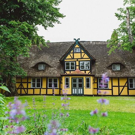 Herrenhaus Gut Dorotheenthal ดัมพ์ ภายนอก รูปภาพ